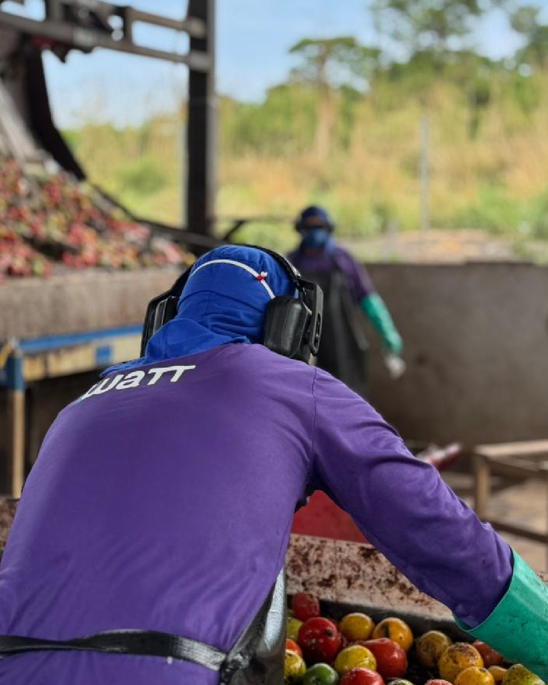 Triagem e reciclagem